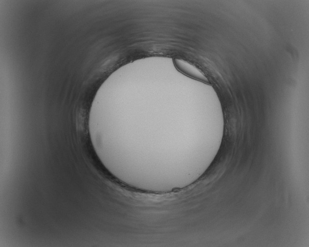 X0000116290044200912291421