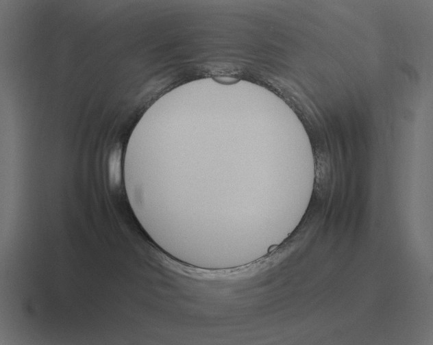 X0000116290046200912291421