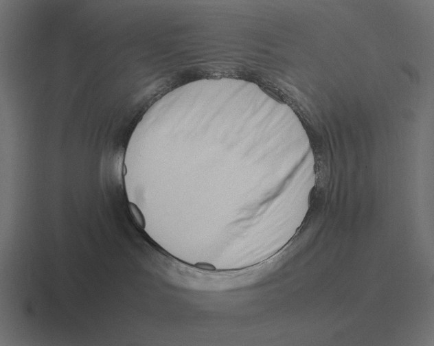 X0000116290047200912291421