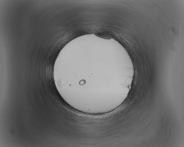 X0000116290048200912291421