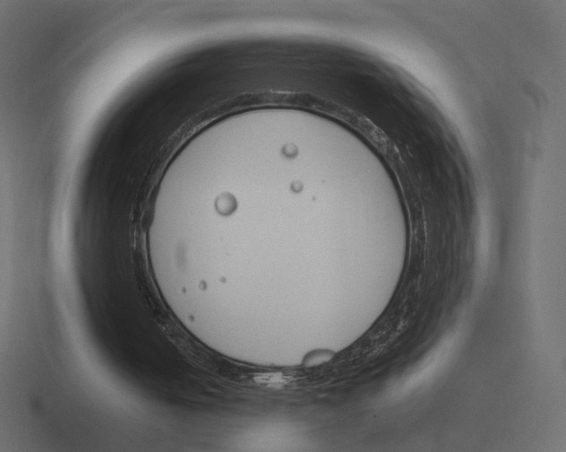 X0000116290050200912291420