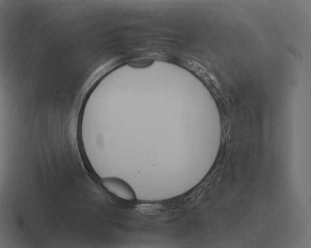 X0000116290051200912291420