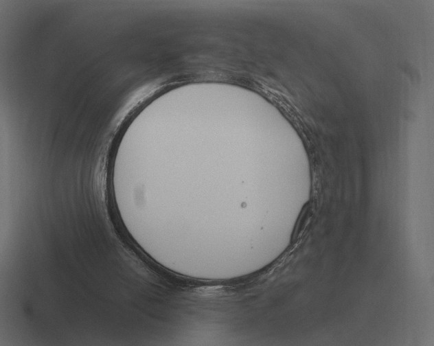 X0000116290054200912291420