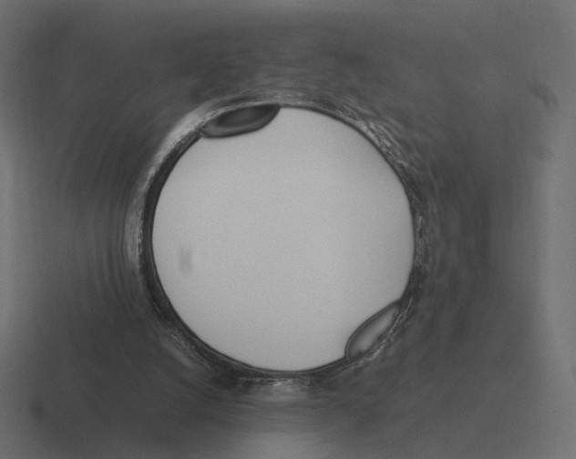 X0000116290056200912291420