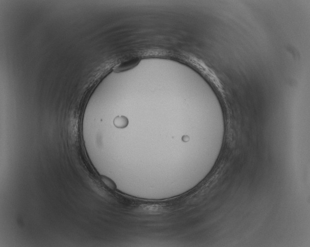 X0000116290057200912291420