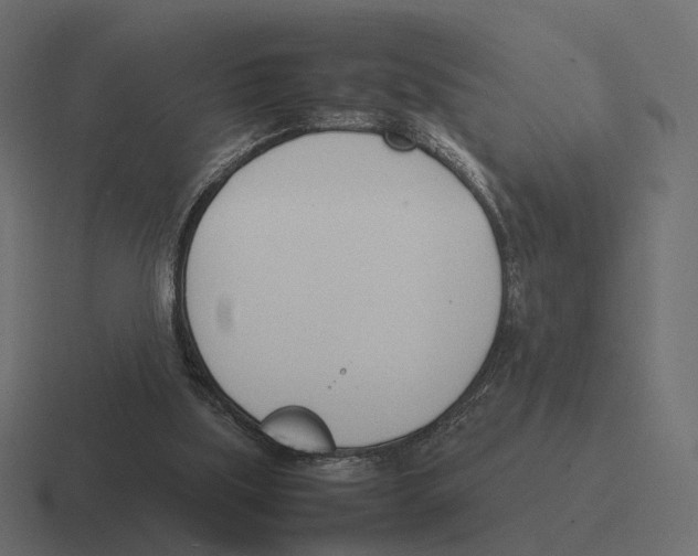 X0000116290059200912291420