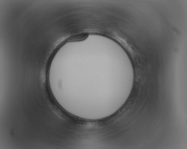 X0000116290060200912291420