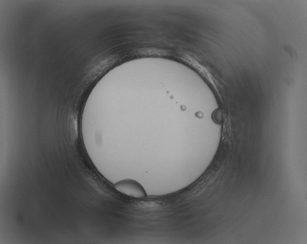 X0000116290061200912291420