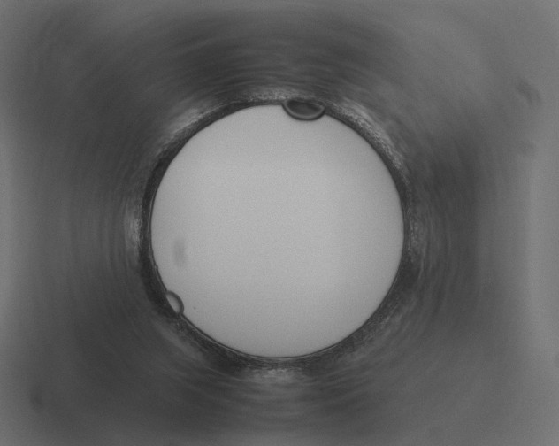 X0000116290063200912291420