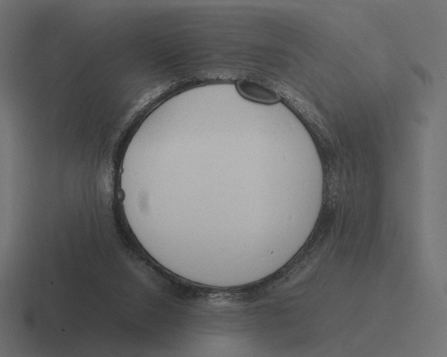 X0000116290064200912291420