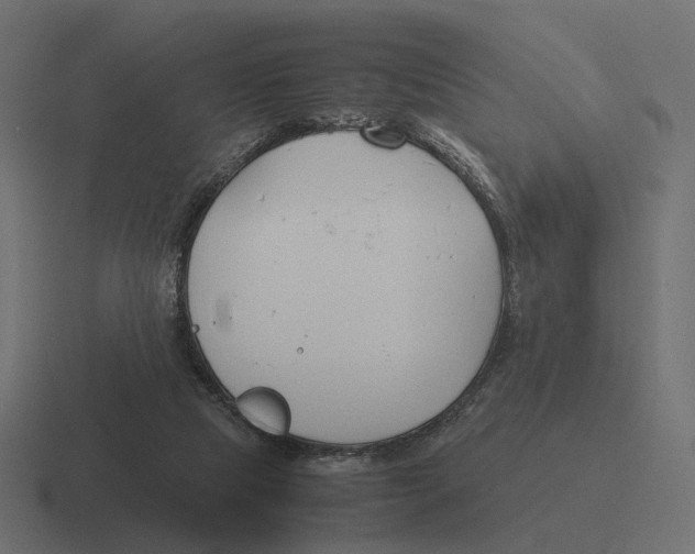 X0000116290065200912291420