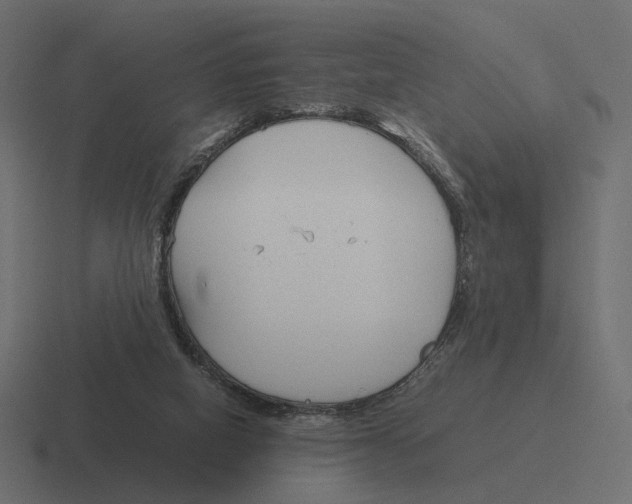 X0000116290066200912291420