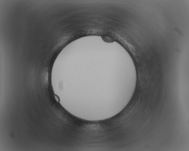 X0000116290067200912291420