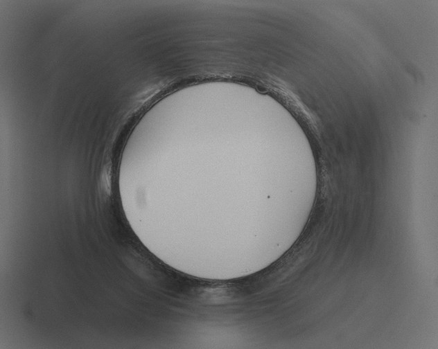 X0000116290068200912291420