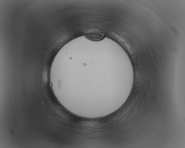 X0000116290069200912291420