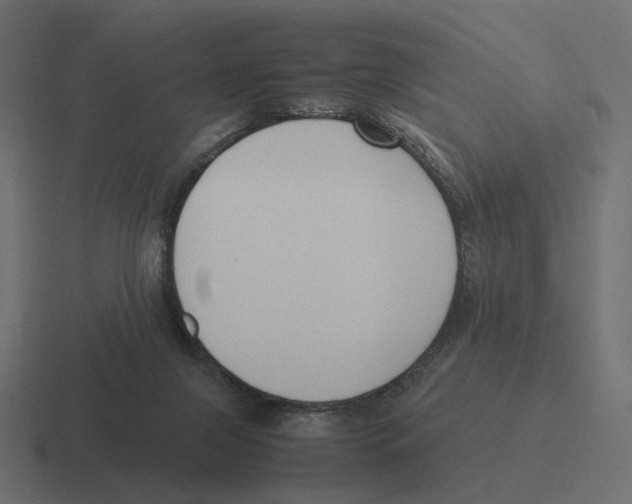 X0000116290071200912291420