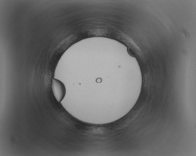 X0000116290073200912291420