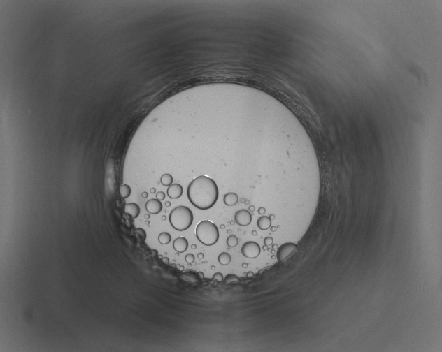 X0000116290075200912291420