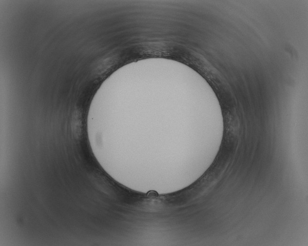 X0000116290080200912291420