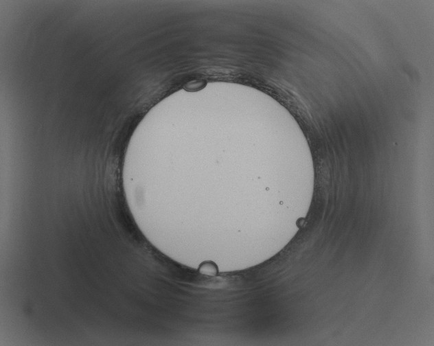 X0000116290083200912291420