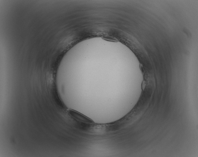 X0000116290084200912291420