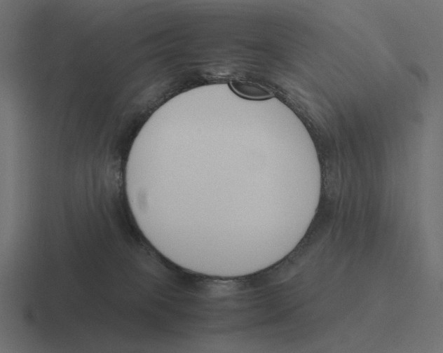 X0000116290085200912291420