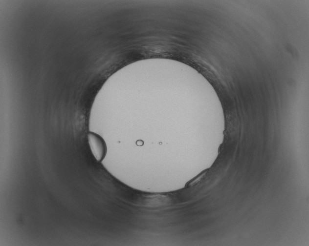 X0000116290087200912291420