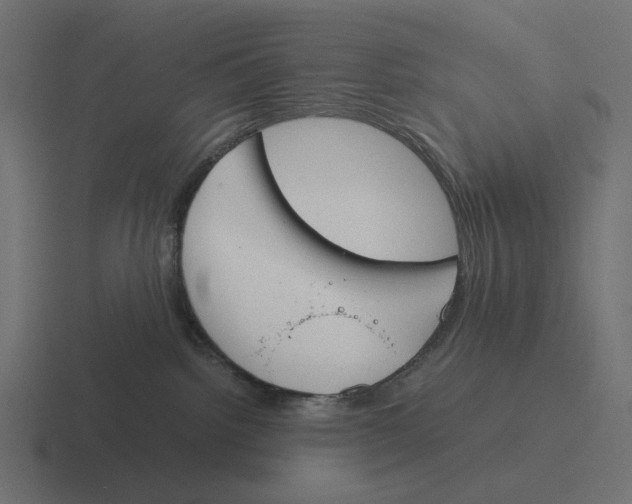 X0000116290092200912291421