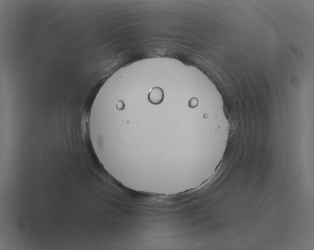 X0000116290094200912291421