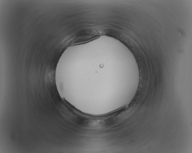 X0000116290096200912291421