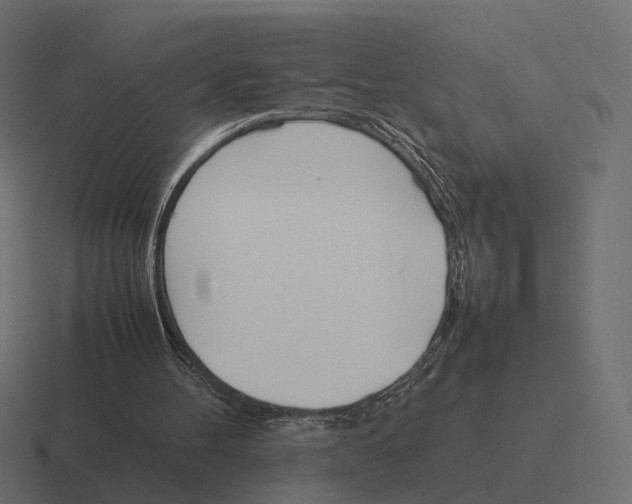 X0000116290100200912291420