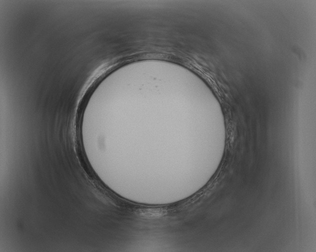 X0000116290102200912291420