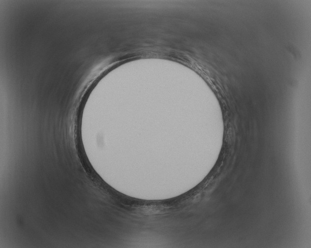 X0000116290103200912291420