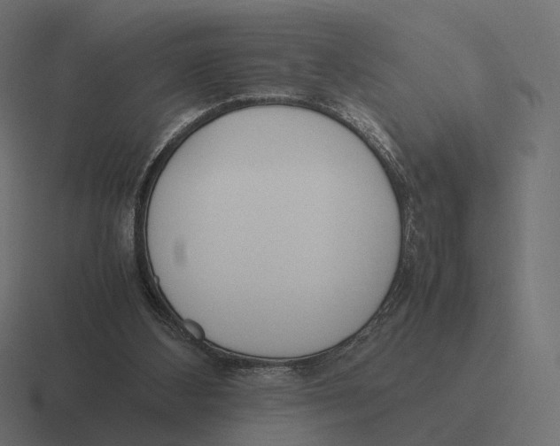 X0000116290108200912291420