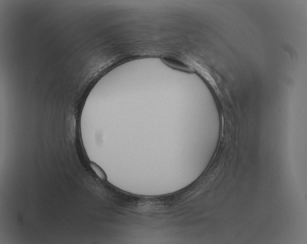 X0000116290109200912291420