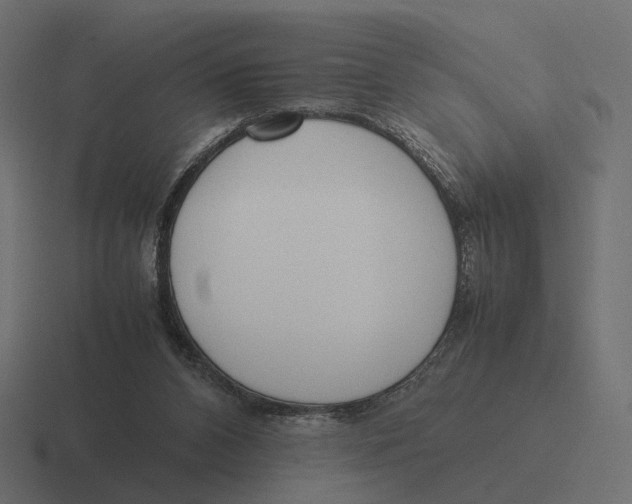 X0000116290112200912291420