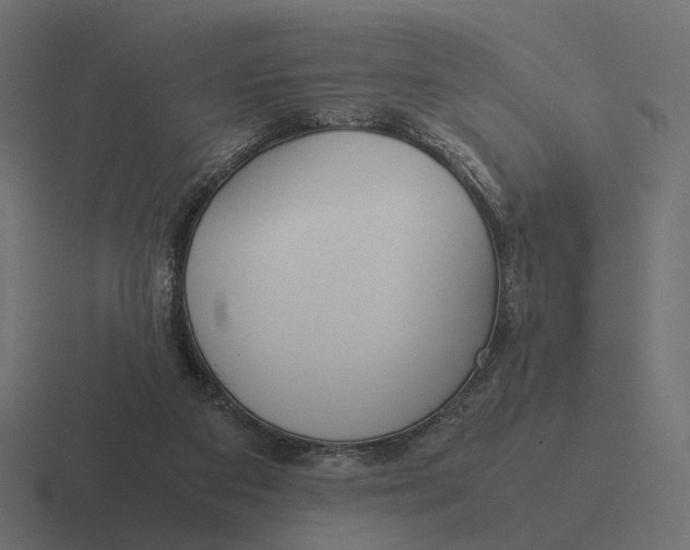 X0000116290113200912291420