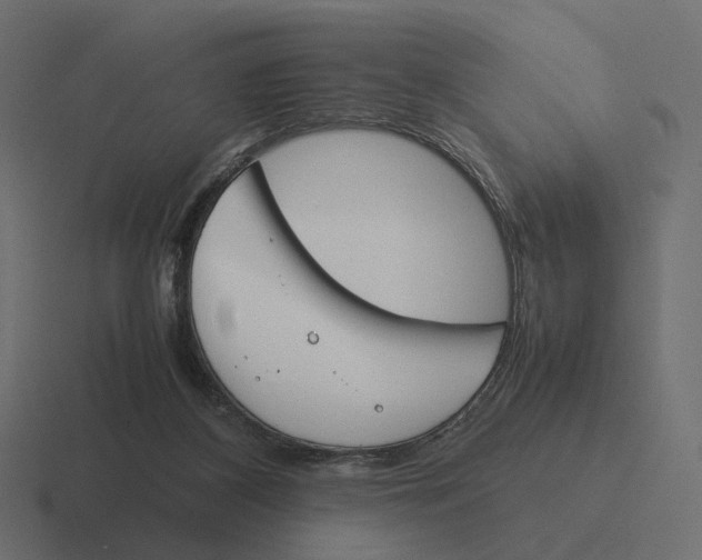 X0000116290116200912291420