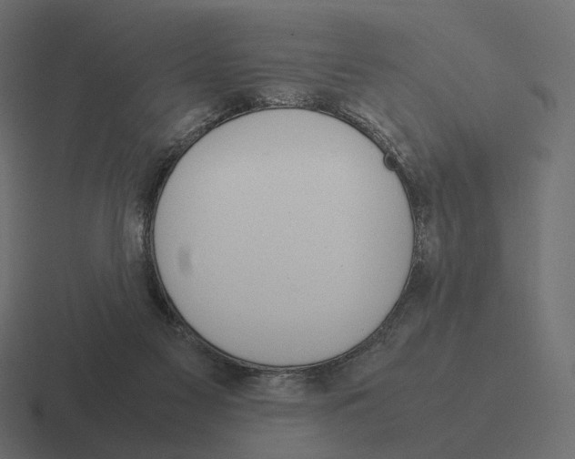 X0000116290117200912291420