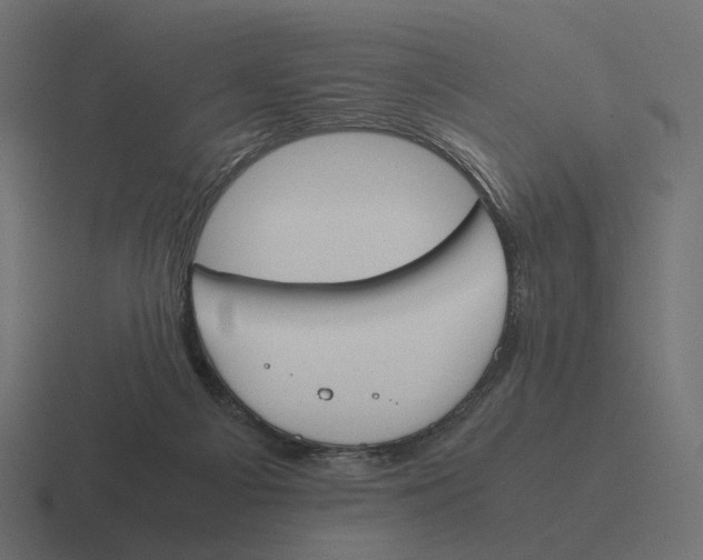 X0000116290121200912291420