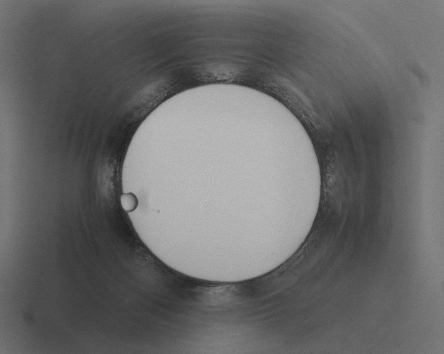 X0000116290122200912291420