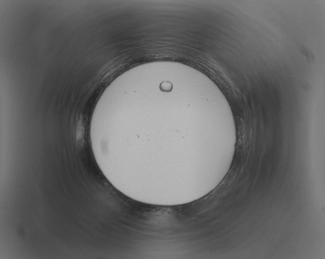 X0000116290124200912291420