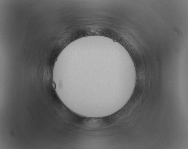 X0000116290129200912291420