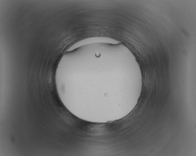 X0000116290132200912291420