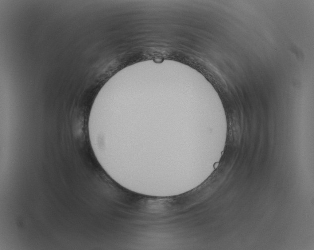 X0000116290134200912291420