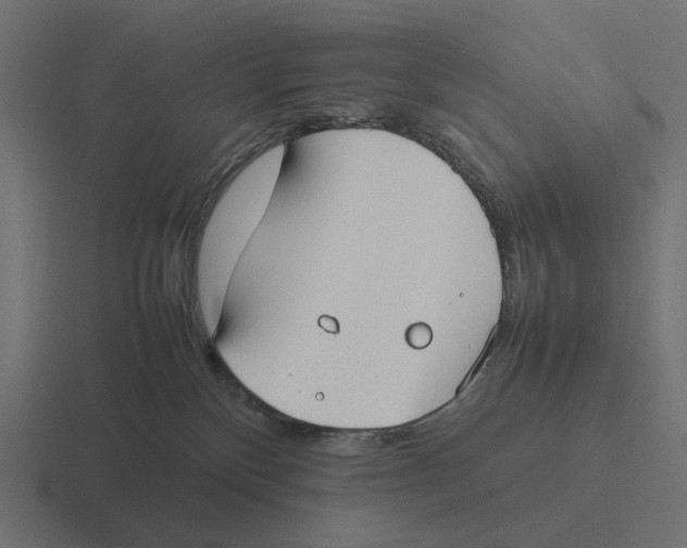 X0000116290136200912291419