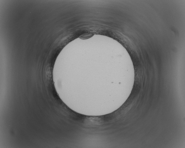 X0000116290137200912291419