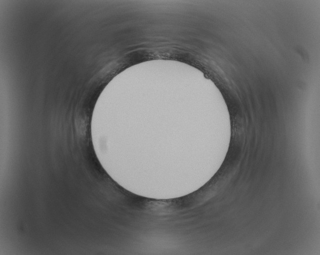 X0000116290139200912291419