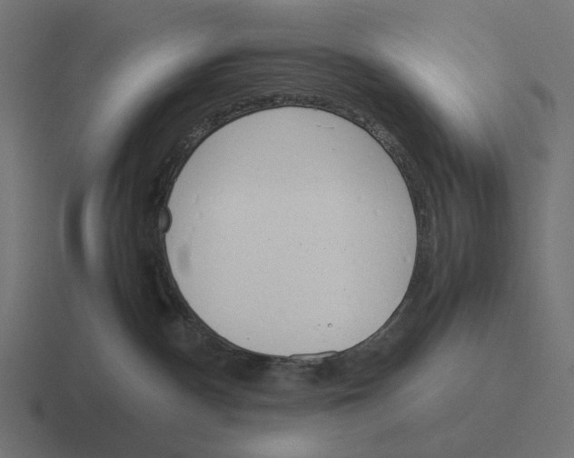 X0000116290140200912291419