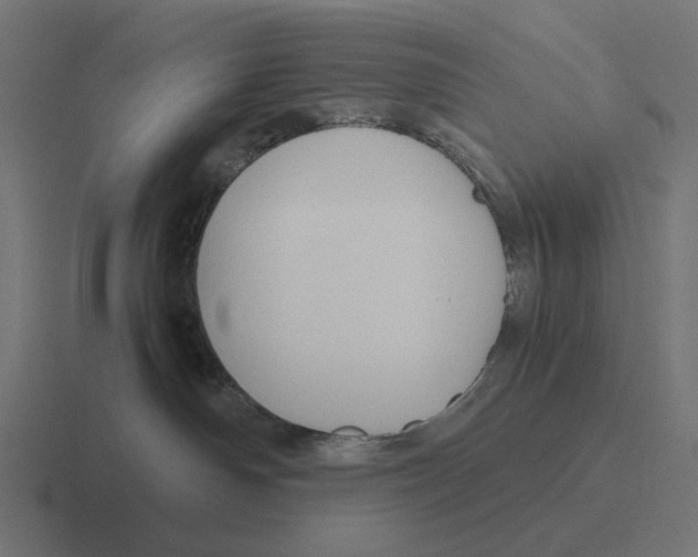 X0000116290142200912291419